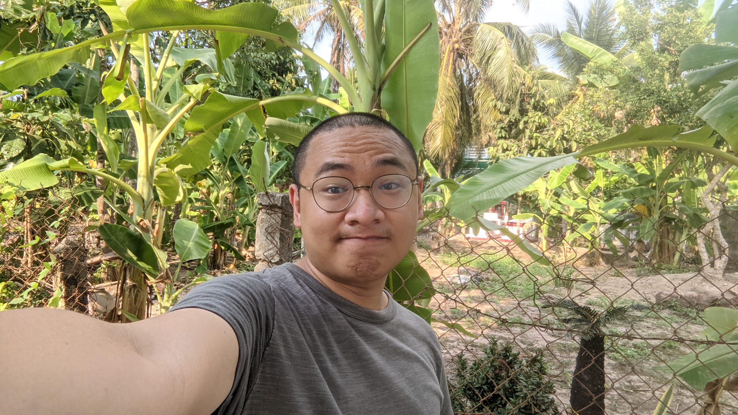 Chuyện mai nở giữa hè, hay là chuyện xuân về có nhành mai không nở